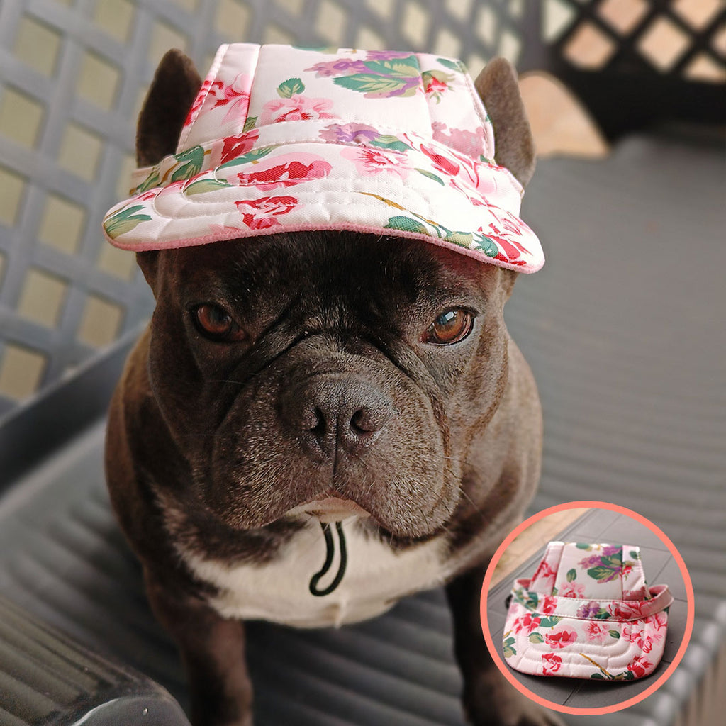 Hundemütze – 3 Größen – 2 Farben