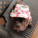 Dog hat - 3 sizes - 2 colours