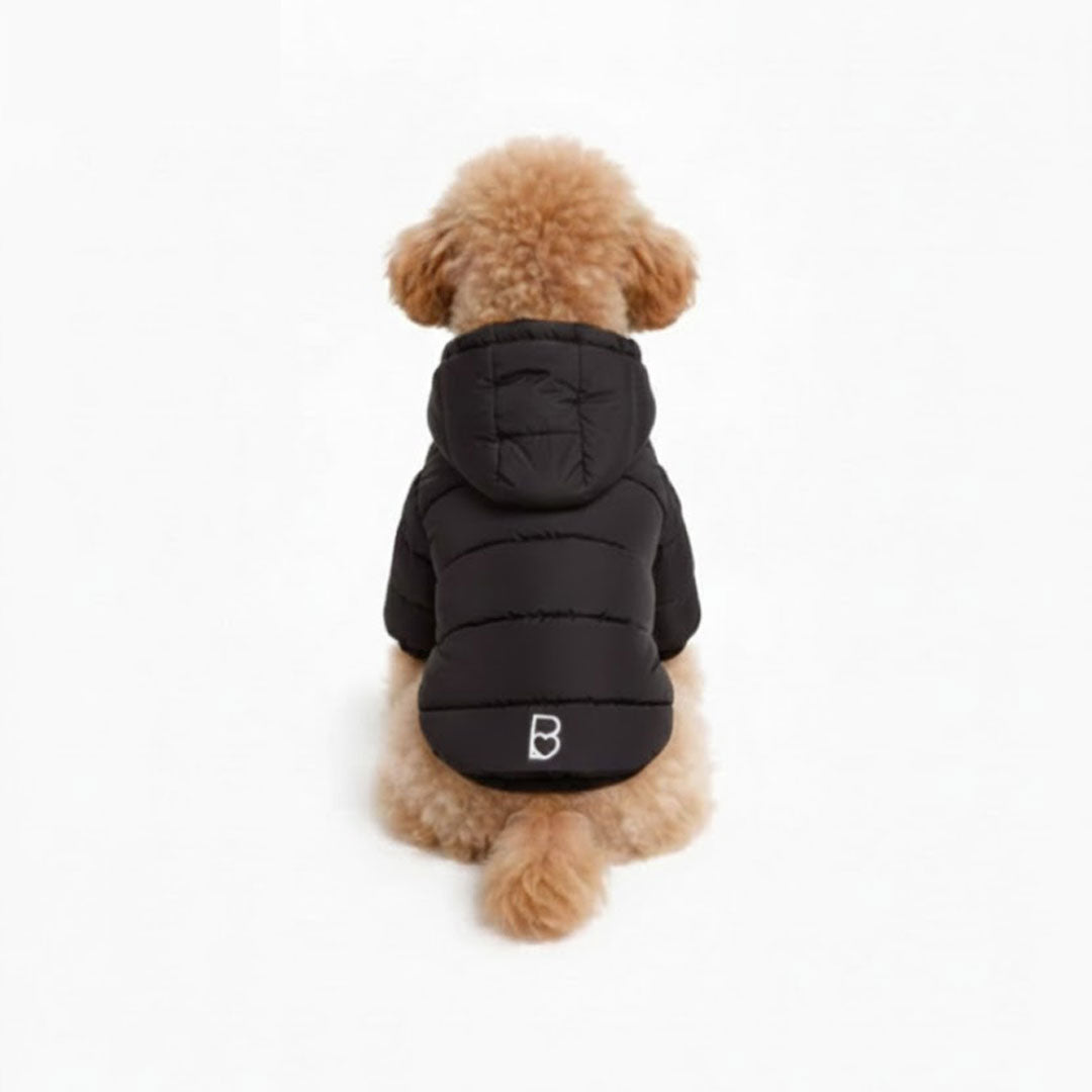 Caldo smanicato con cappuccio - mod.Casius - ecosostenibile