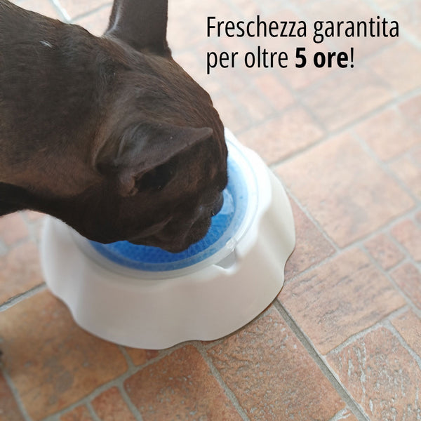 Ciotola rinfrescante per cani InnovaGoods - l'acqua rimane fresca per oltre 5 ore!