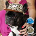 Cappello per cane - 3 misure - 2 colori