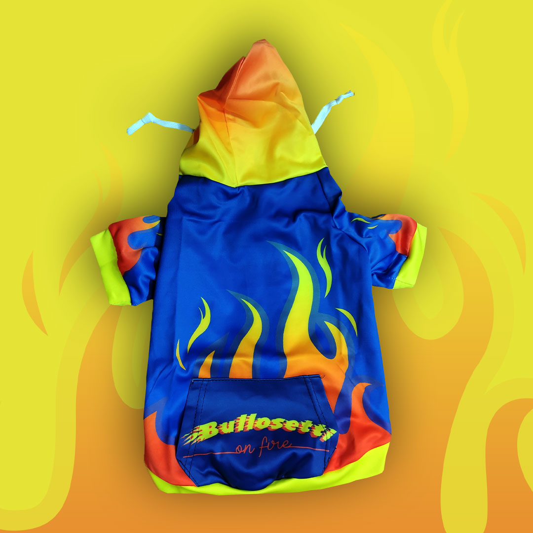 FIRE hoodie - with zip and sleeves