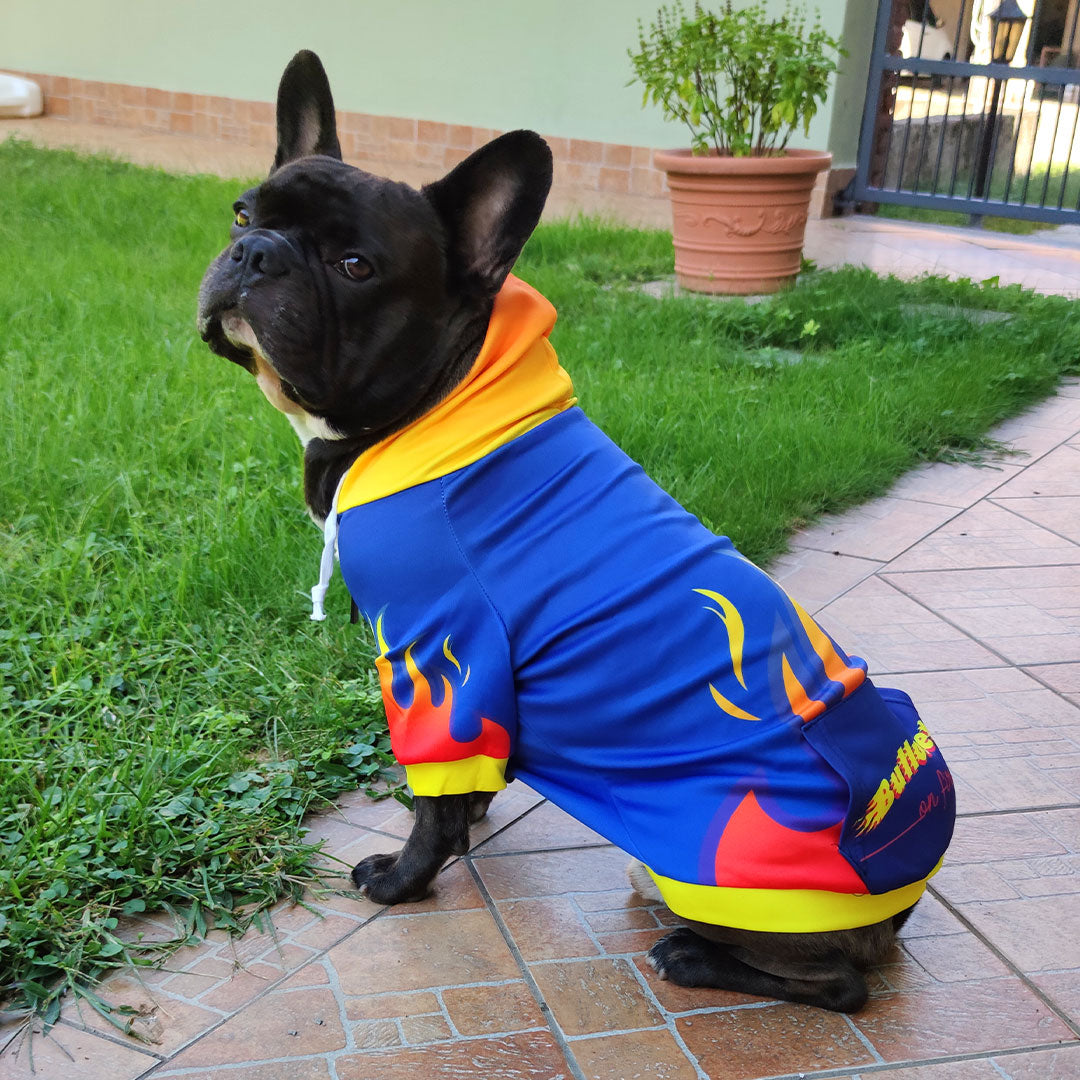 Felpa con cappuccio FIRE - con zip e maniche