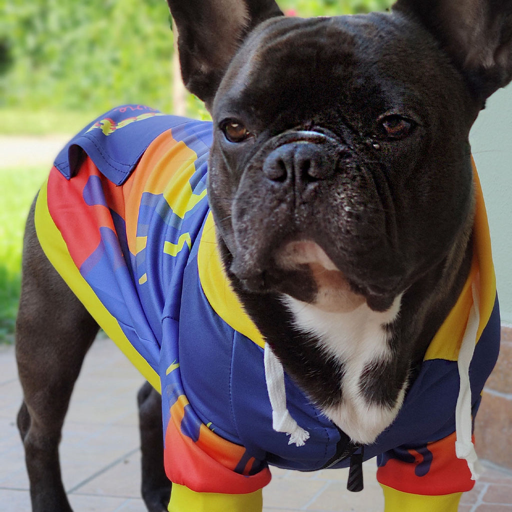 FIRE Kapuzenpullover – mit Reißverschluss und Ärmeln