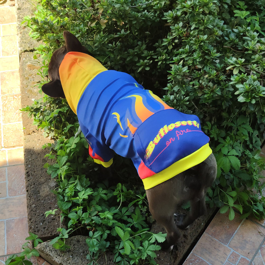 FIRE Kapuzenpullover – mit Reißverschluss und Ärmeln