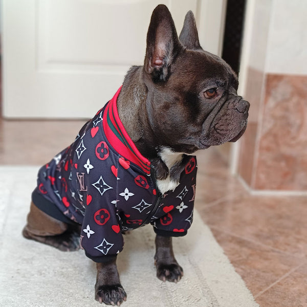 Luxury sweatshirt for dogs