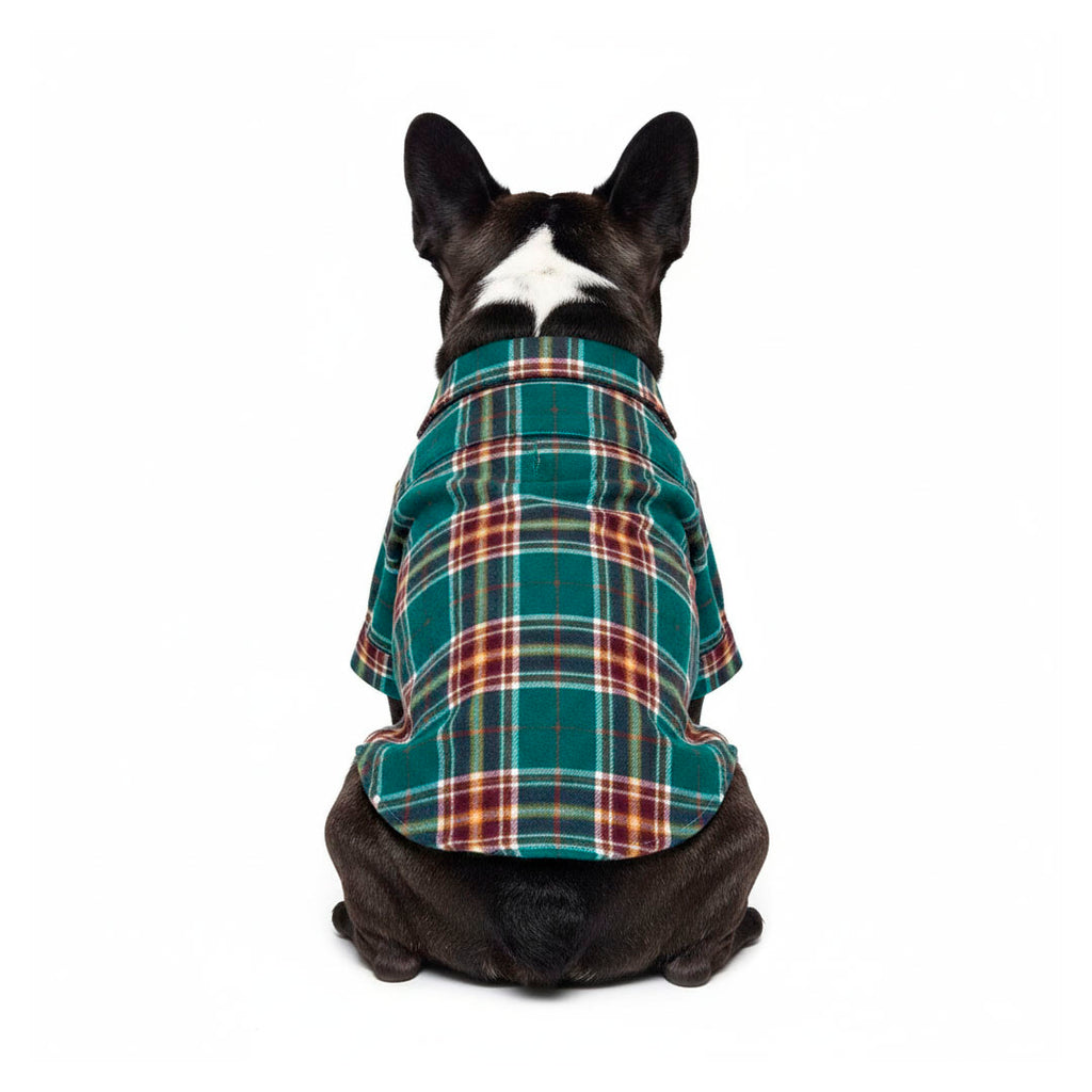 Green tartan shirt pajamas - 100% cotton - mod. Sleepy