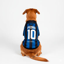 Maglia nerazzurra personalizzata da calcio - con maniche - per cani da 2 a 40kg