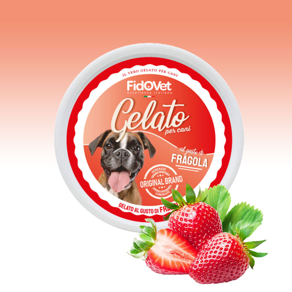 Gelato per cani - 6 gusti diversi - Made in Italy