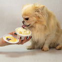 Eis für Hunde – 6 verschiedene Geschmacksrichtungen – Hergestellt in Italien