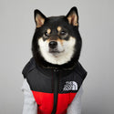 Gilet impermeabile  imbottito nero e rosso - The Dog Fans - da 3 a 35kg