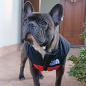 Gilet impermeabile  imbottito nero e rosso - The Dog Fans - da 3 a 35kg