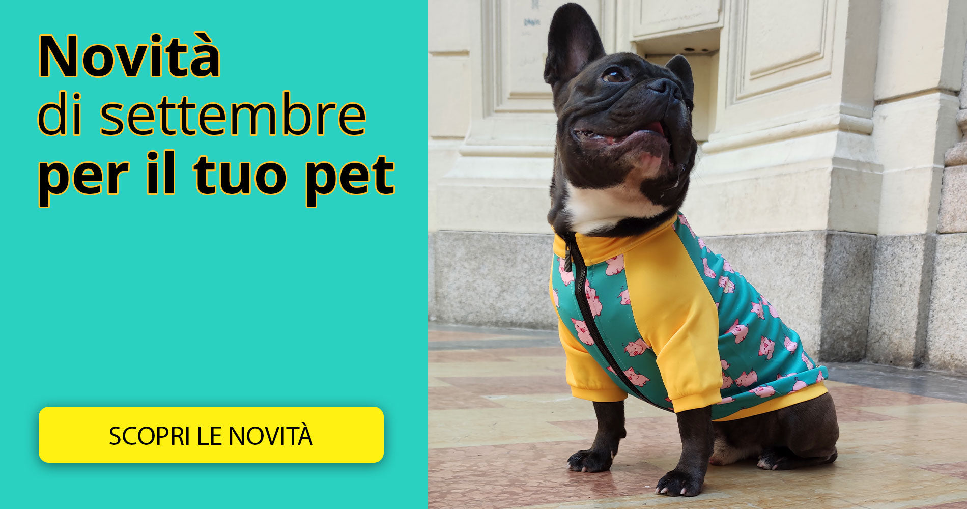 Home settembre
