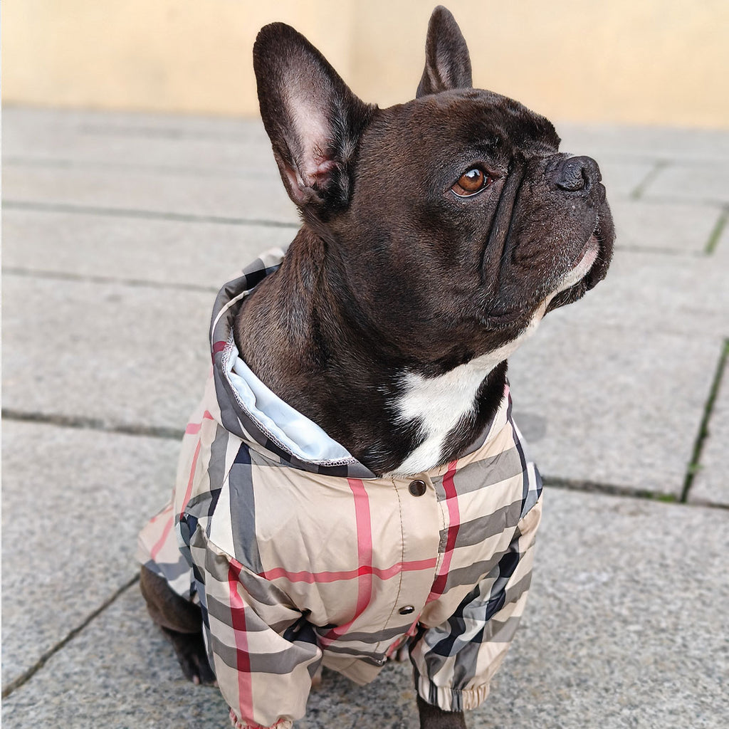 Luxuriöser karierter Regenmantel – Beige – für Hunde von 3 bis 15 kg