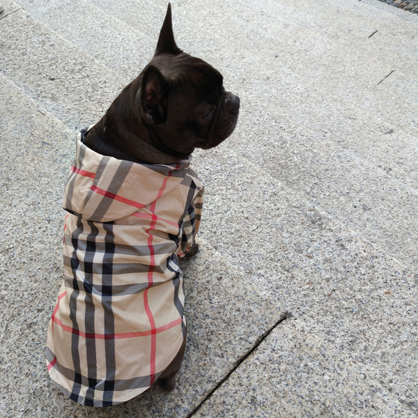 Luxuriöser karierter Regenmantel – Beige – für Hunde von 3 bis 15 kg