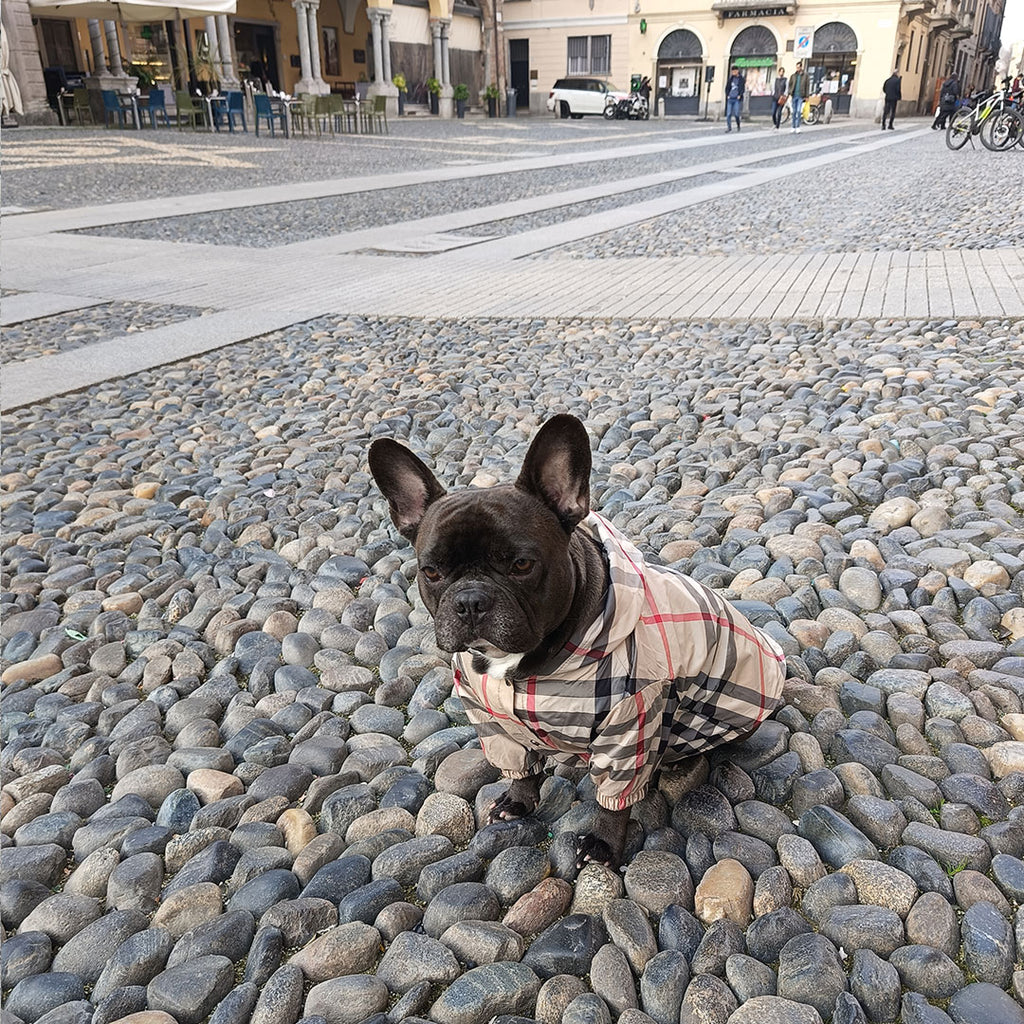 Luxuriöser karierter Regenmantel – Beige – für Hunde von 3 bis 15 kg