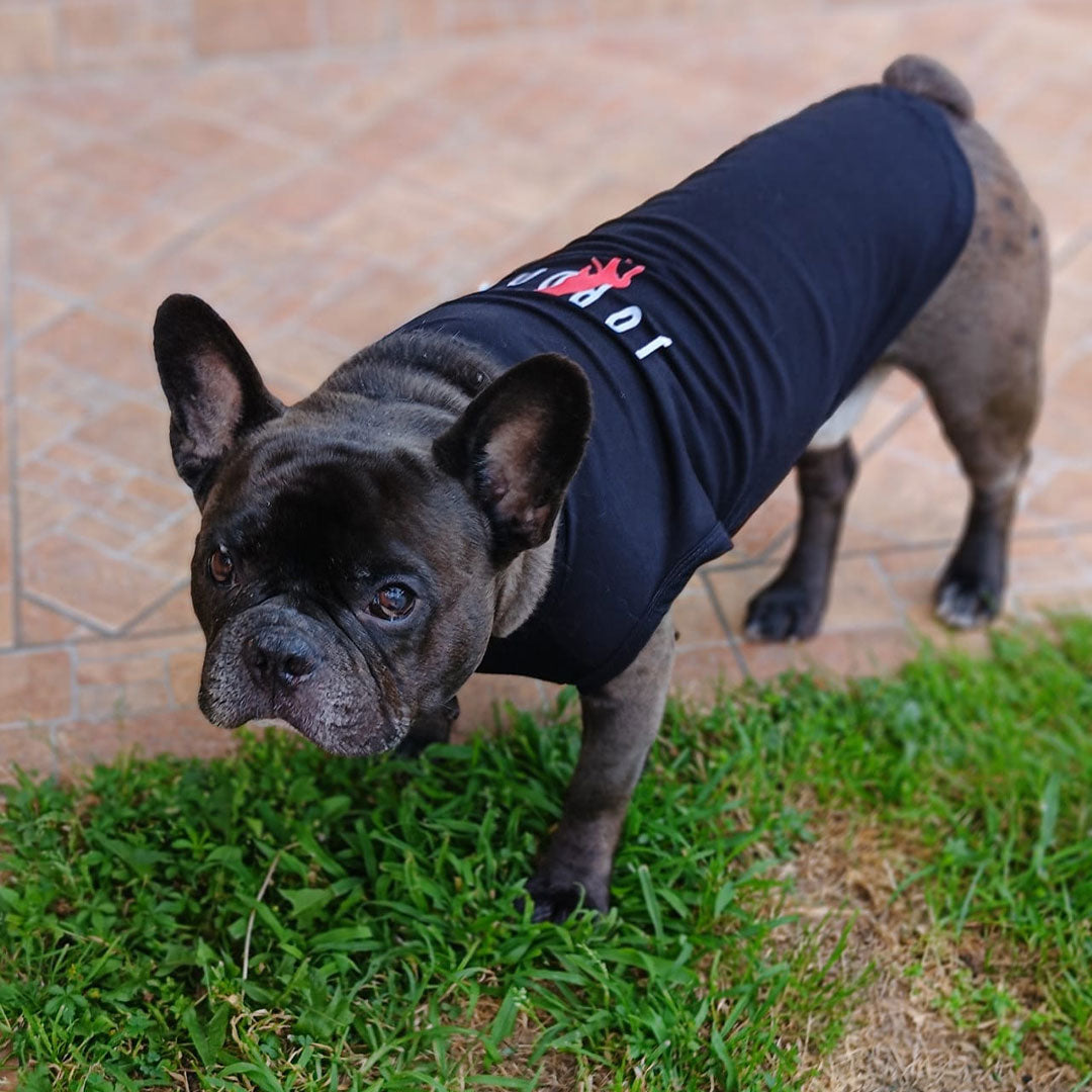 Canottiera estiva per cani - da 4 a 15kg - nera - Jordog