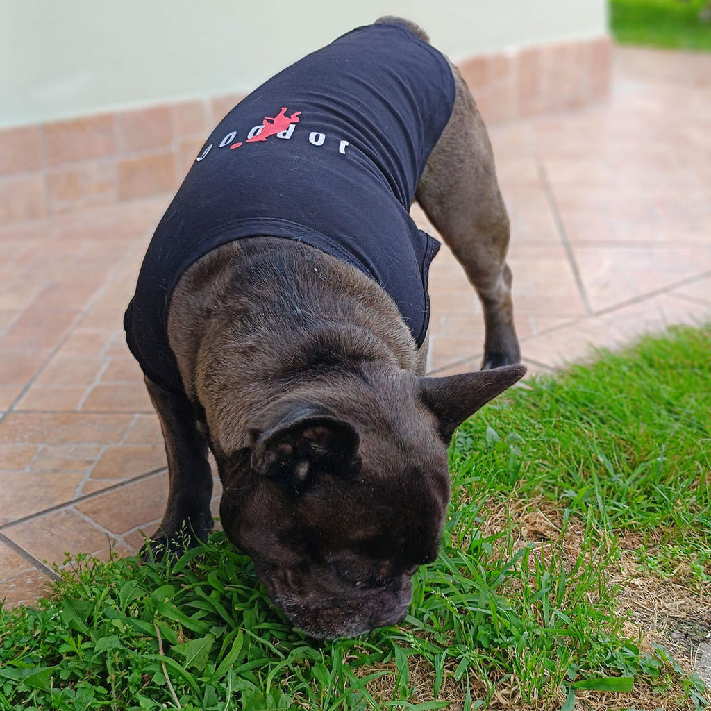 Canottiera estiva per cani - da 4 a 15kg - nera - Jordog