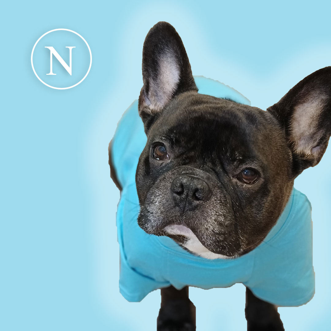 Maglietta napoletana personalizzata da calcio - con maniche - per cani da 4 a 40kg