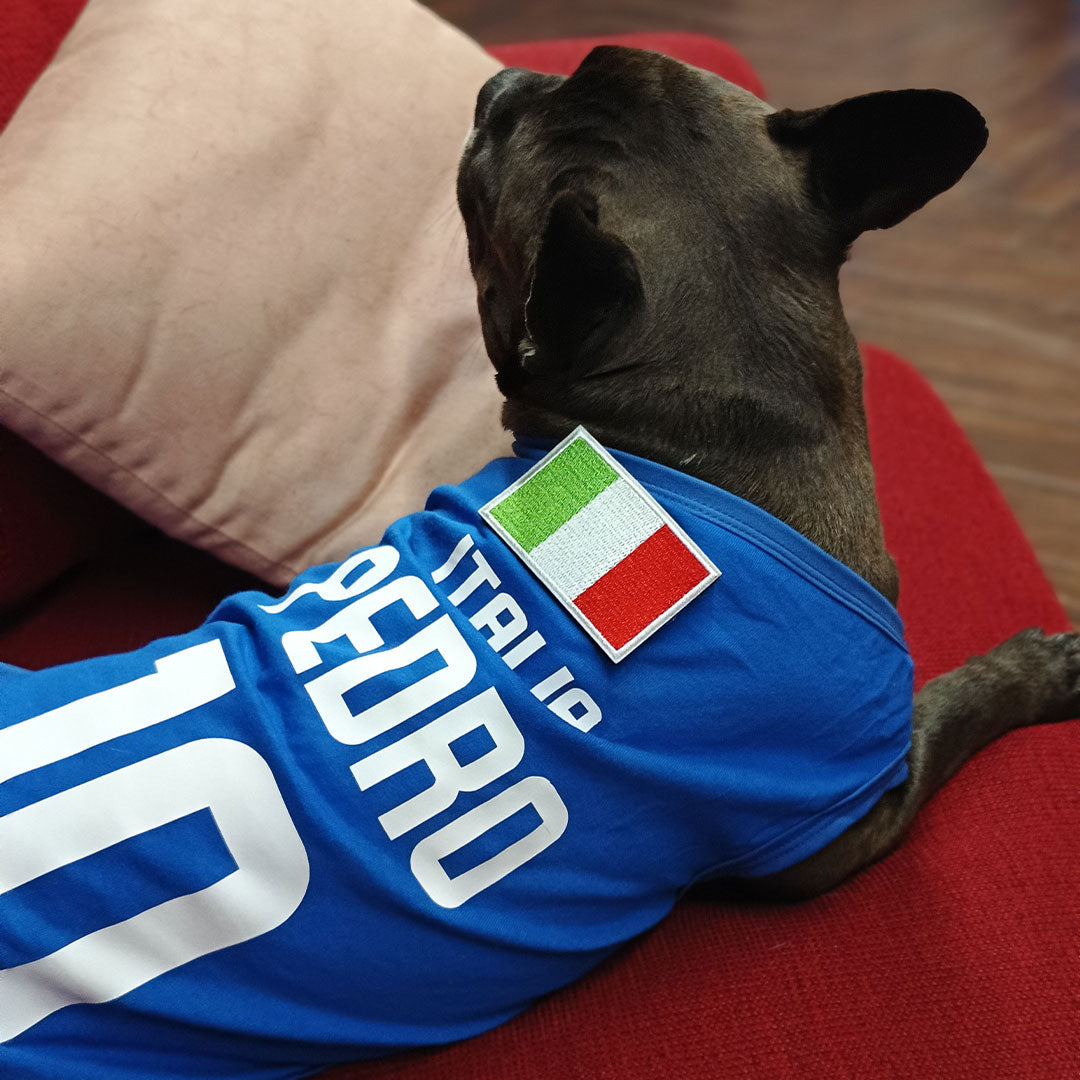 Maglietta per cani Italia -  personalizzata con nome e numero - calcio