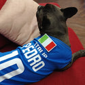 Maglia per cani Italia -  personalizzata con nome e numero - calcio