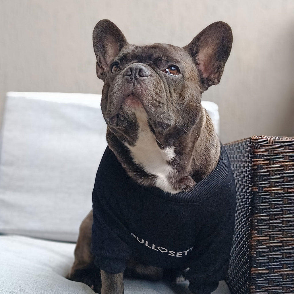 [matchy] Felpa coordinata umano cane - nera - personalizzata