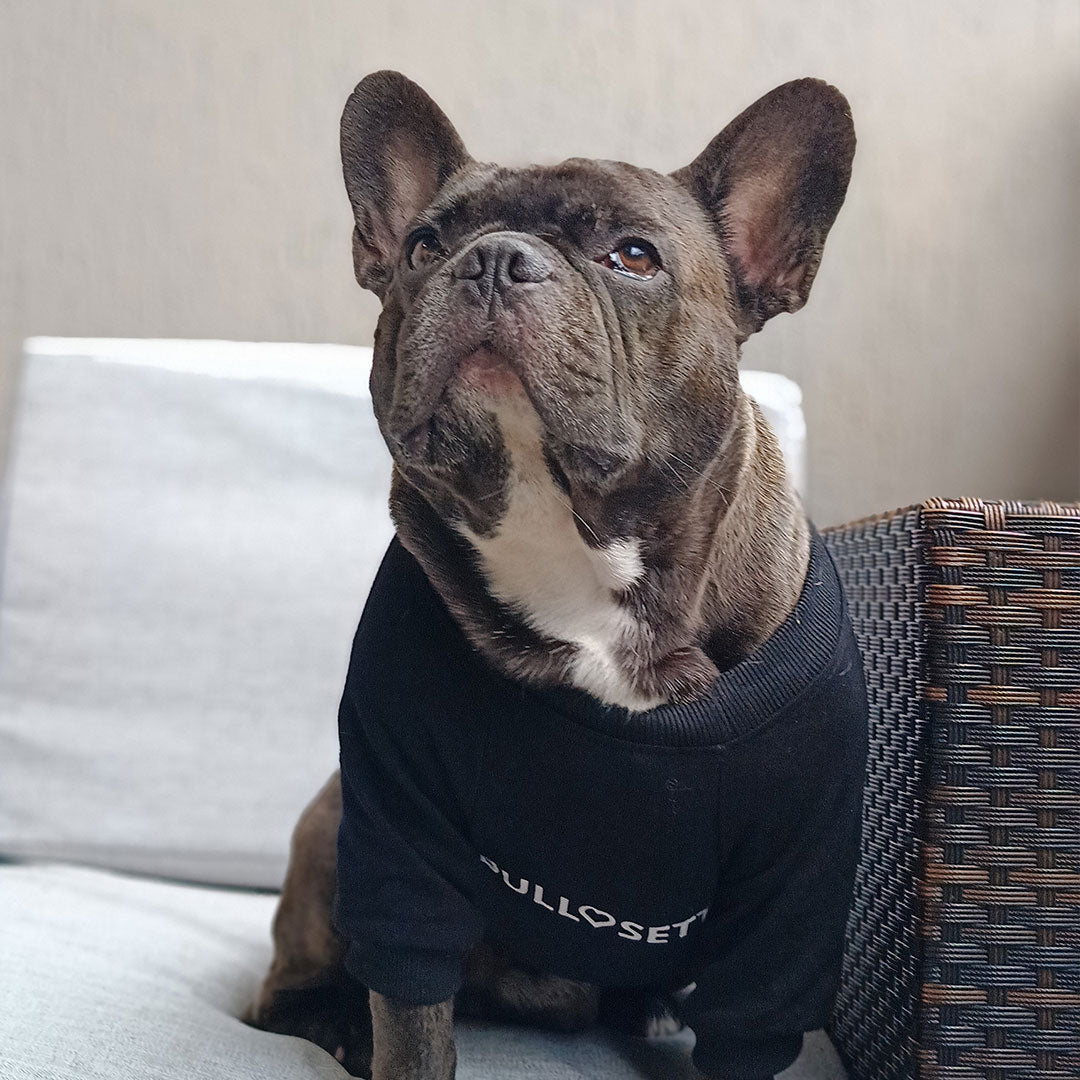 [matchy] Felpa coordinata umano cane - nera - personalizzata