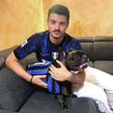 Maglia nerazzurra personalizzata da calcio - con maniche - per cani da 2 a 40kg