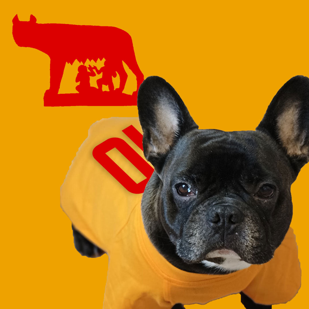 Maglietta giallorossa personalizzata da calcio - con maniche - per cani da 4 a 40kg