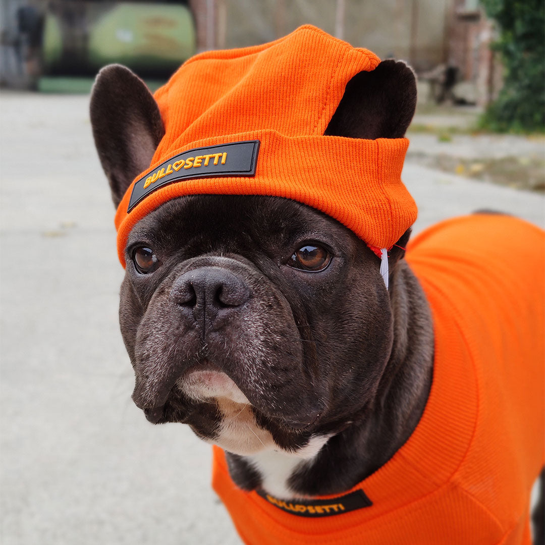 Tight-fitting sweater with cotton cap - streetwear - orange