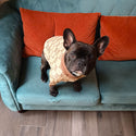 Maglione elegante per cani - beige - luxury