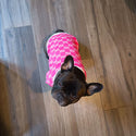 Elegant dog sweater - pink - luxury