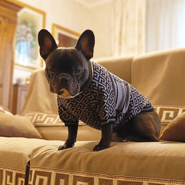 Maglione elegante per cani - grigio - luxury - mod. Venezia