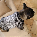 Elegant dog sweater - beige - luxury