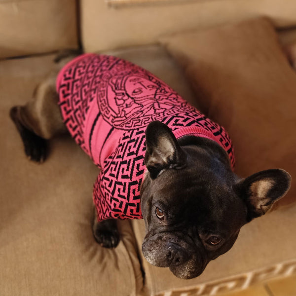 Elegant dog sweater - beige - luxury