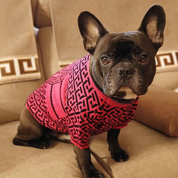 Elegant dog sweater - beige - luxury