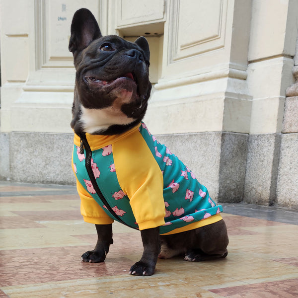 Bullosetti-Sweatshirt mit Reißverschluss – Schweinestruktur – Orange und Grün