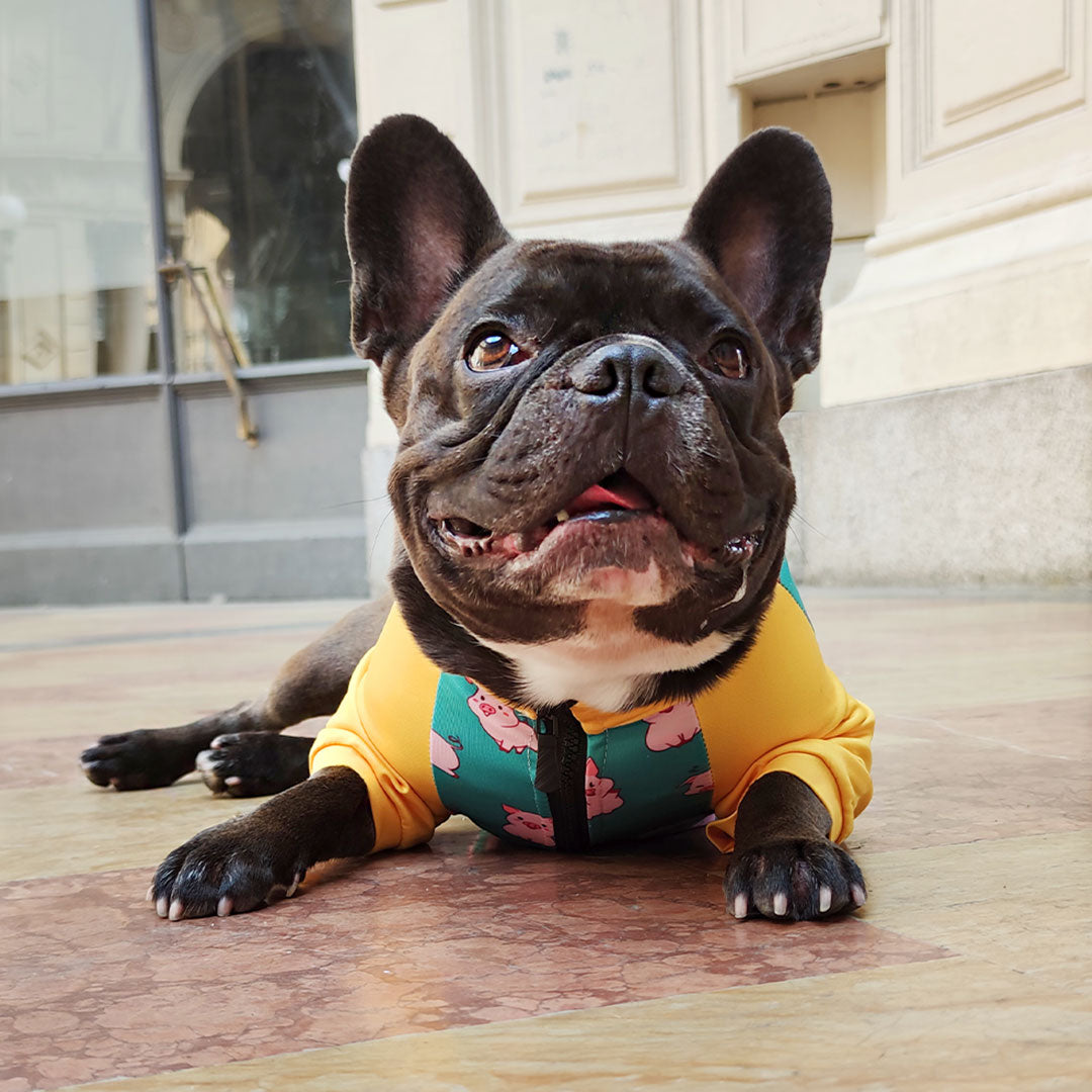 Felpa con zip Bullosetti - texture maialini - arancione e verde