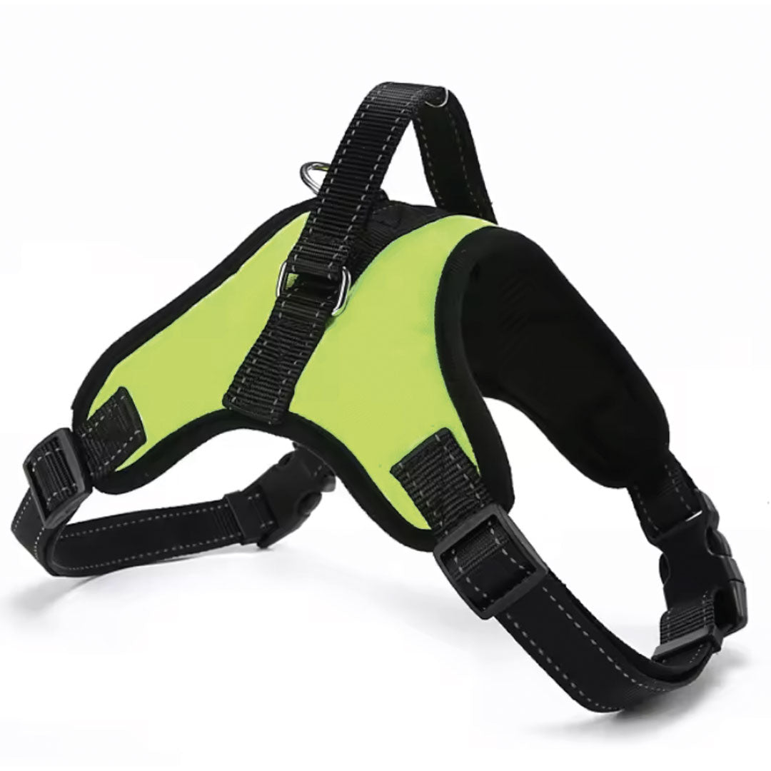 Pettorina Greenlight - per cani da 2 a 40kg