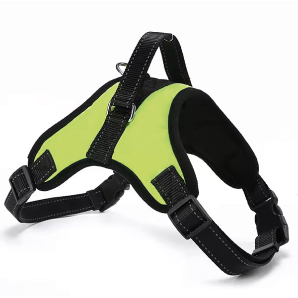 Greenlight harness - for dogs from 2 to 40kg