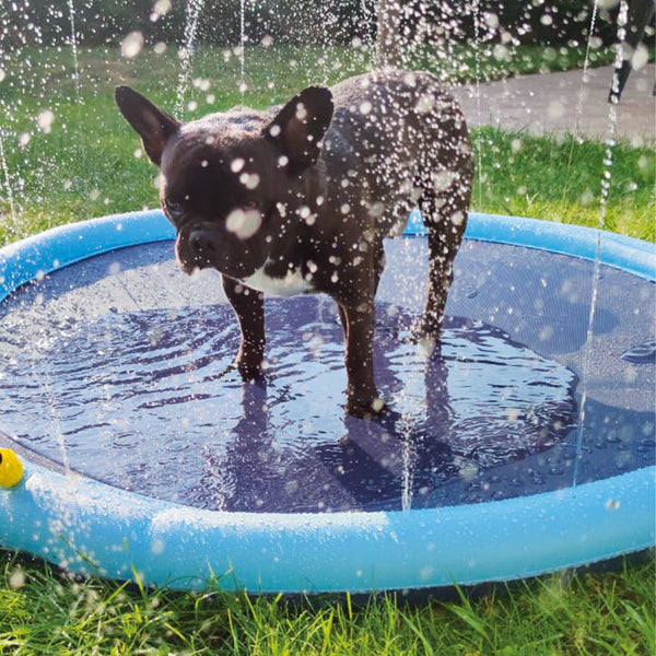 Piscina fontana per cani! - gioco estivo rinfrescante - diametro 150cm