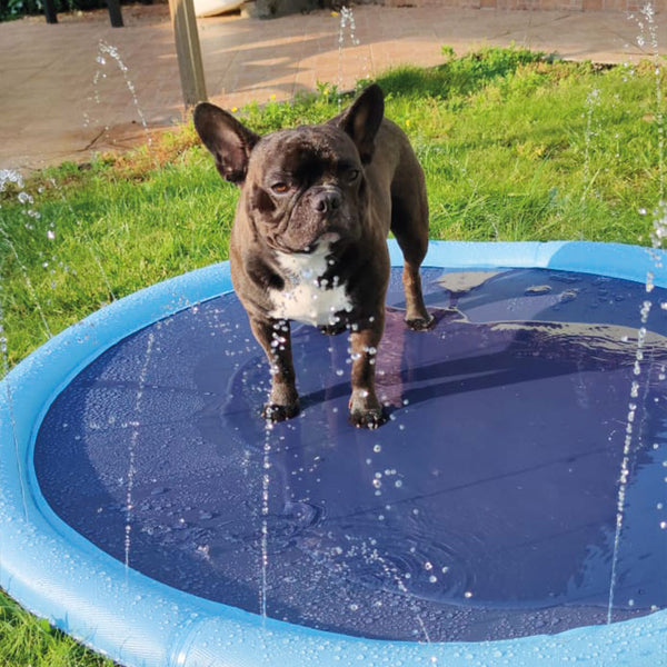 Fountain pool for dogs! - refreshing summer game - diameter 150cm