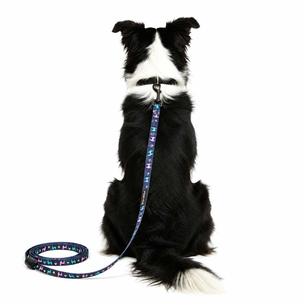 No ProblLAMA Leash - 140 cm - FuzzYard