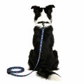 No ProblLAMA Leash - 140 cm - FuzzYard