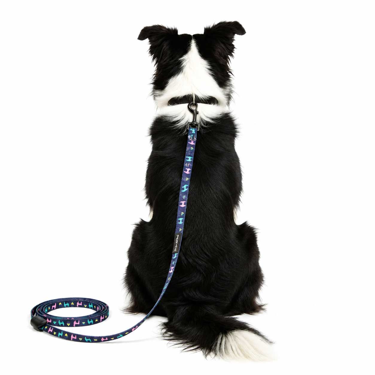 Kein ProblemLAMA-Leine – 140 cm – FuzzYard
