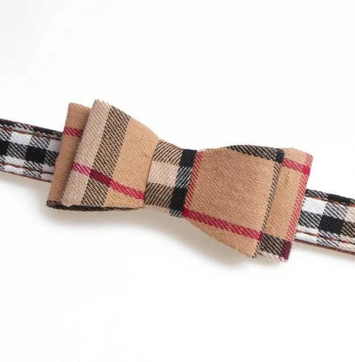 Collare Tartan con Papillon