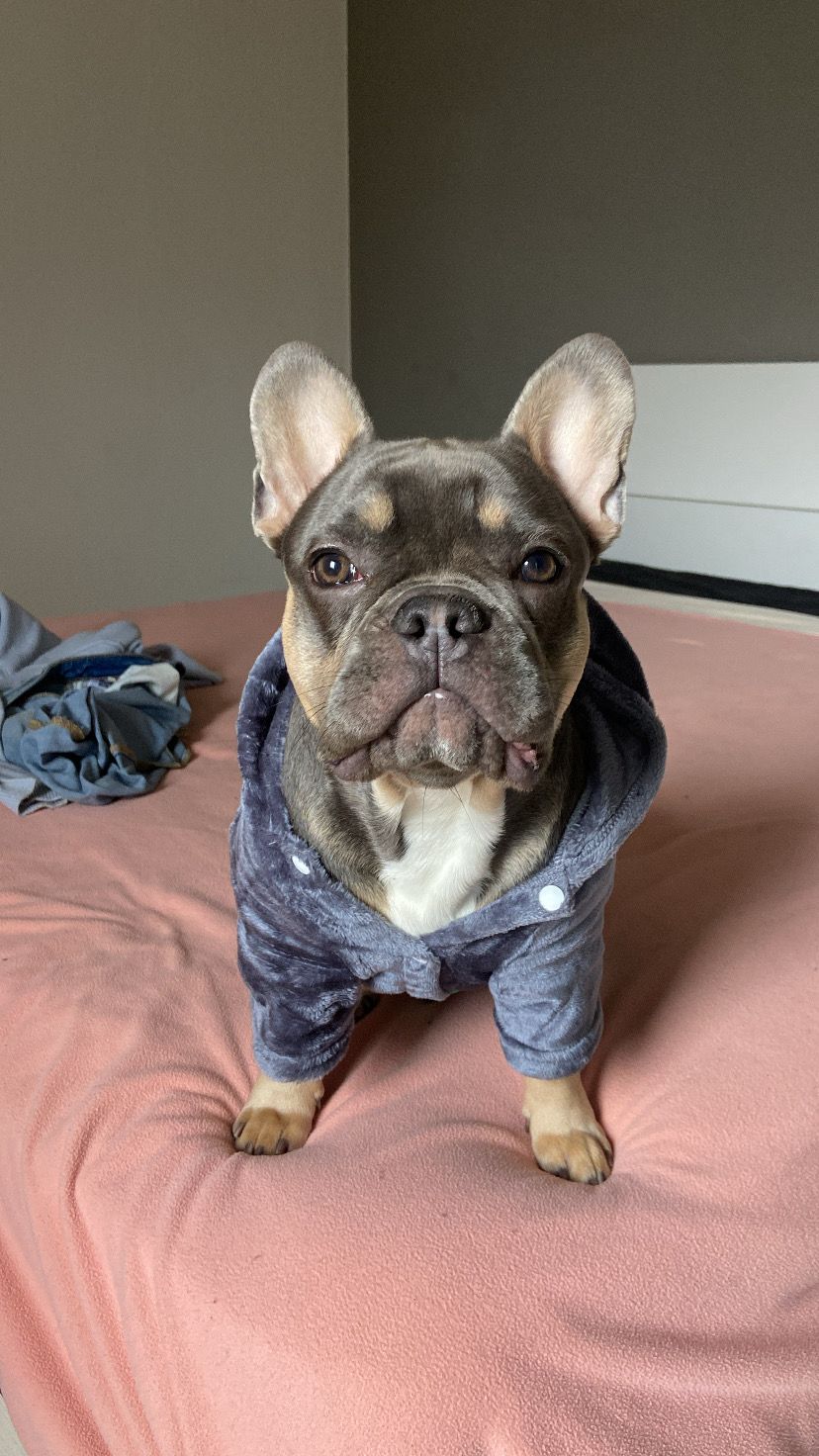 Felpa morbida vellutata con cappuccio - 2 colori - mod.Stepson