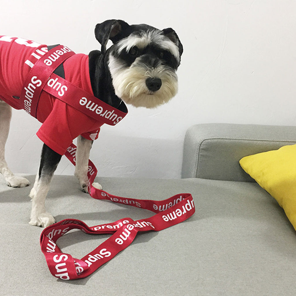 [SET] Pettorina + guinzaglio + collare luxury - red - da 4 a 40kg