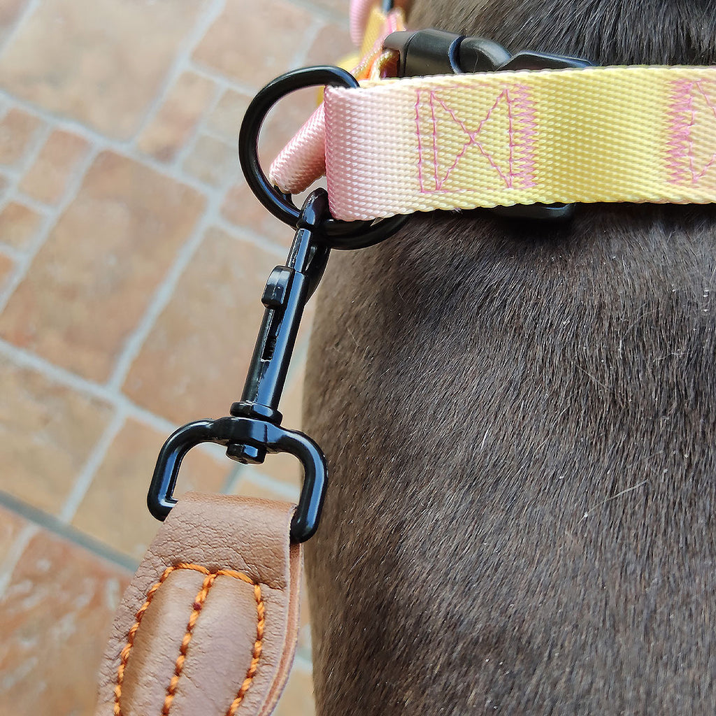 [SET] Harness + leash mod. Harmony