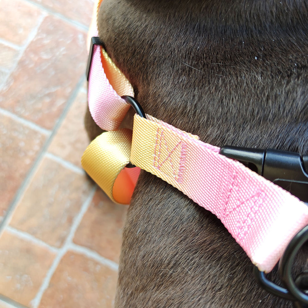 [SET] Harness + leash mod. Harmony